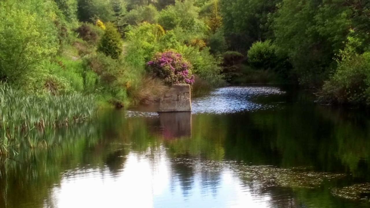 Carnamuff Glamping Ξενοδοχείο Ballykelly Εξωτερικό φωτογραφία